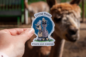 Cool Alpacas Sticker