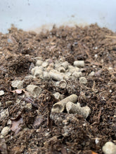 Load image into Gallery viewer, Fiber Soil Amendment Pellets