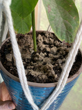 Load image into Gallery viewer, Fiber Soil Amendment Pellets