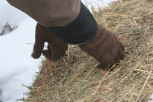 Load image into Gallery viewer, Natural Colored Everyday Alpaca Glove - living-water-fibers-and-alpacas