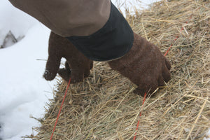 Natural Colored Everyday Alpaca Glove - living-water-fibers-and-alpacas