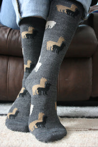 Alpaca Herd Socks - living-water-fibers-and-alpacas